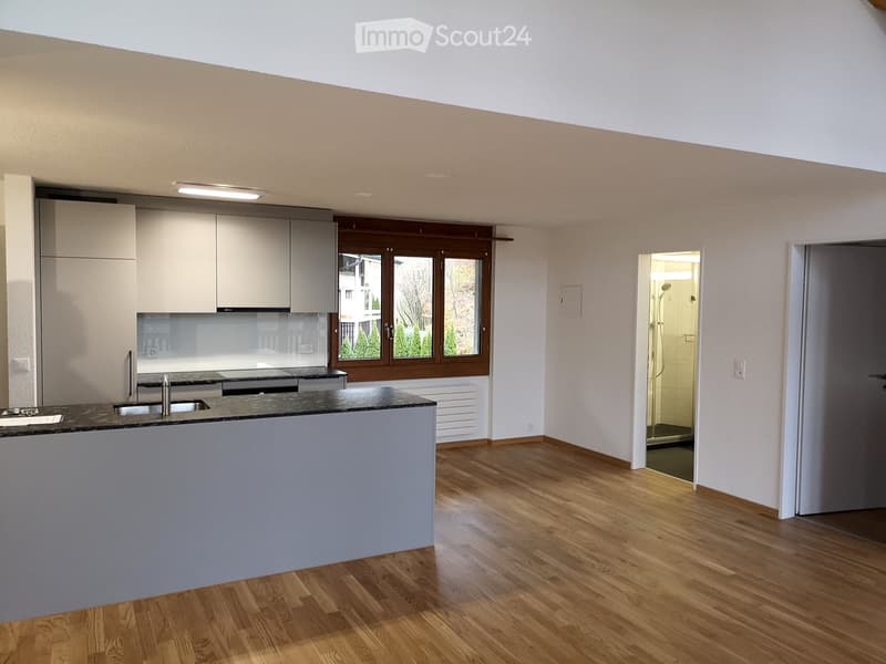 modern kitchen with island, white cabinets, granite countertop, stainless steel sink, double sink, large window, wooden floor