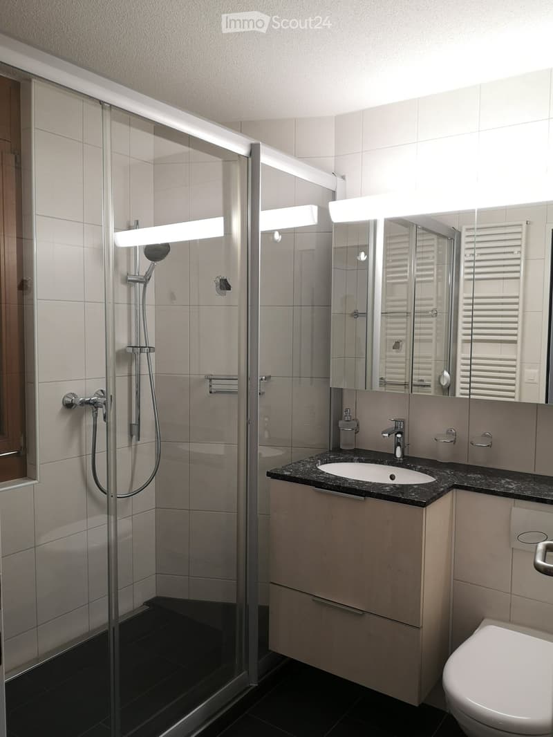 modern bathroom with shower, sink, toilet, mirror, and wooden cabinet