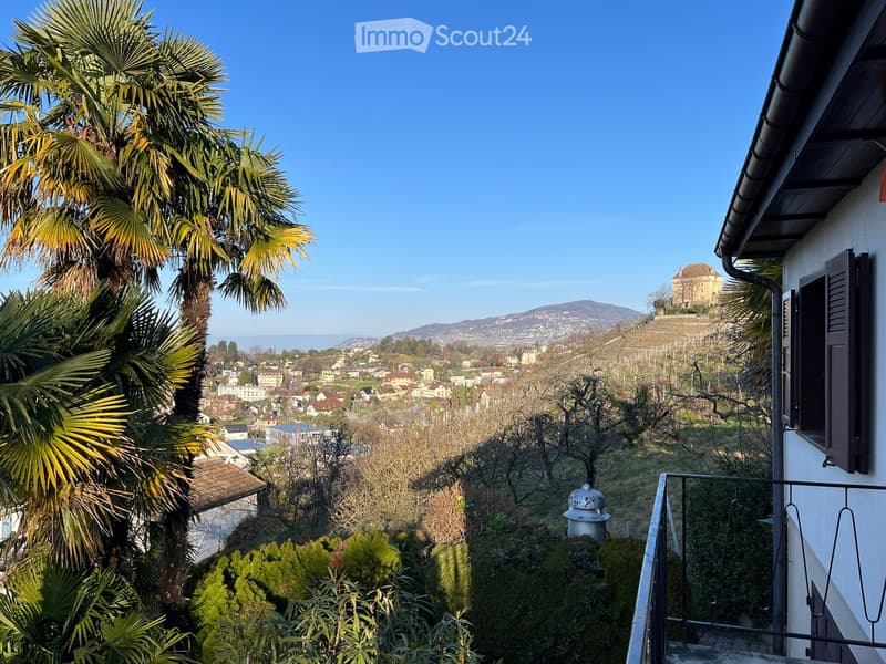 balcony with railing, palm tree, view of town and mountains