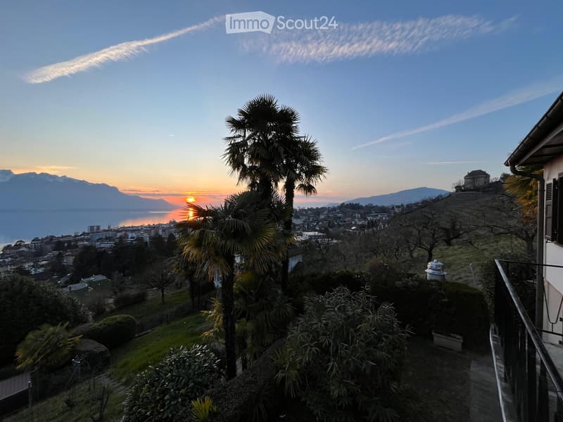 hillside garden with palm trees, sunset view, mountains, city skyline, lake