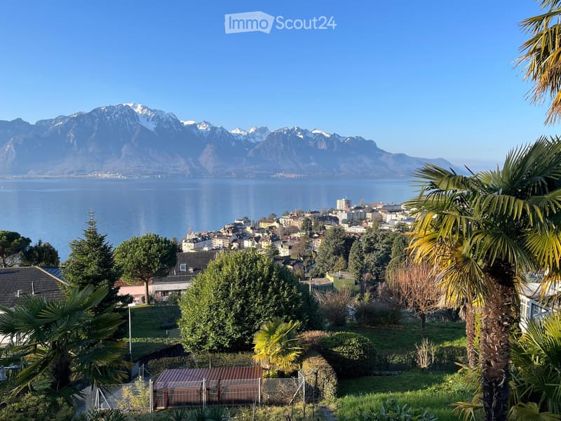 hillside garden with various trees, bushes, and a view of the city and mountains