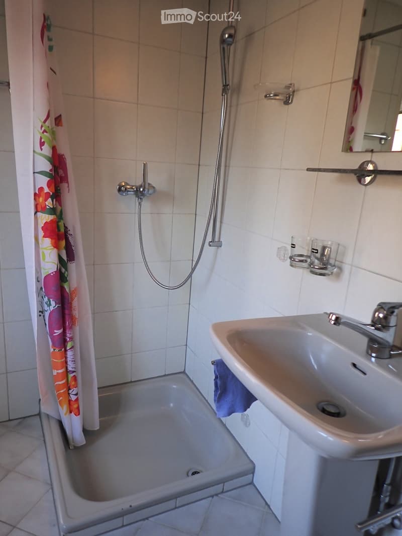 small bathroom with shower, sink, and mirror