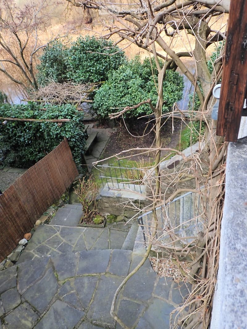 stone steps, wooden fence, plants, tree, gravel path