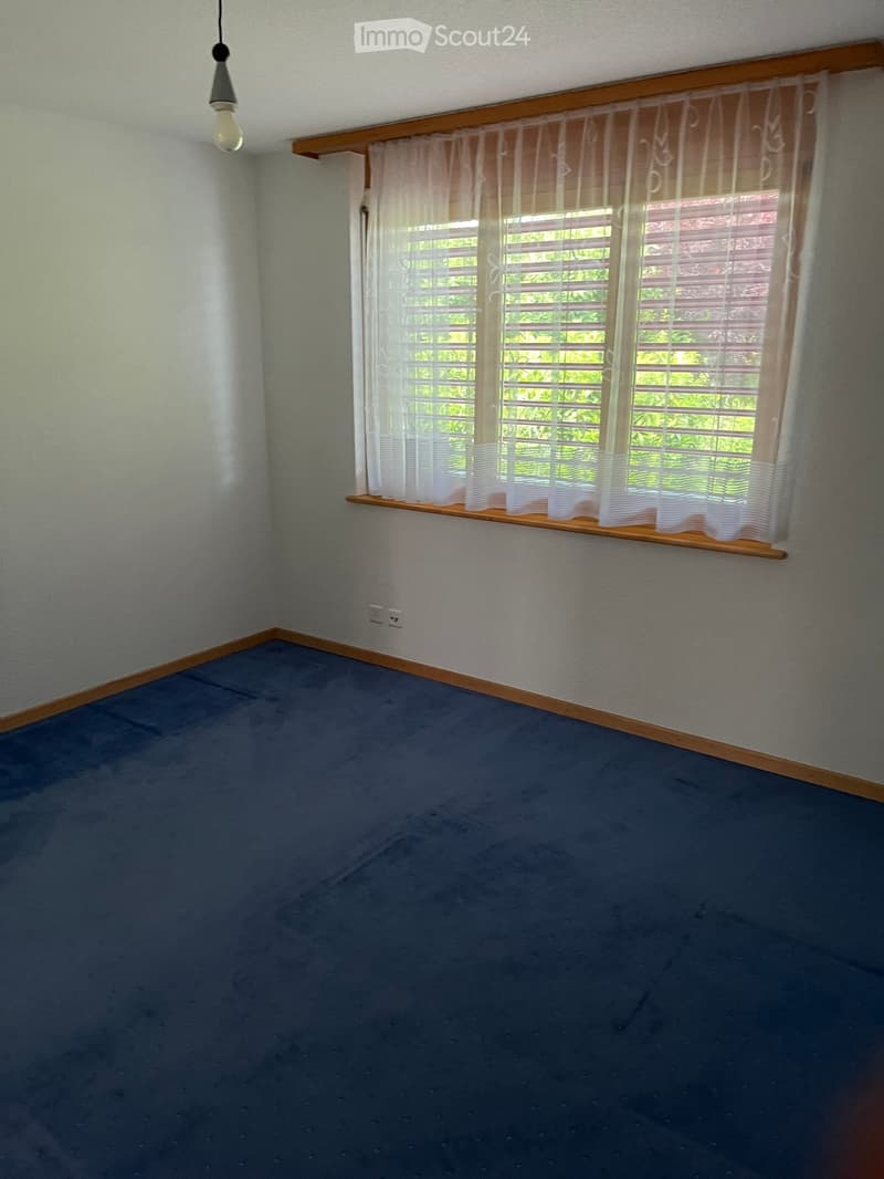 Empty room with blue carpet, light grey walls, wooden trim, and a window with white curtains and blinds.