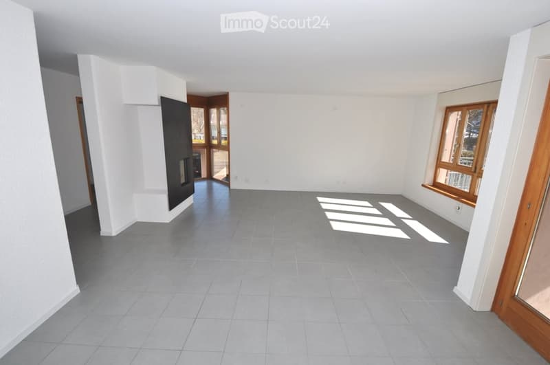 empty room with fireplace, white walls, gray floor, windows, door