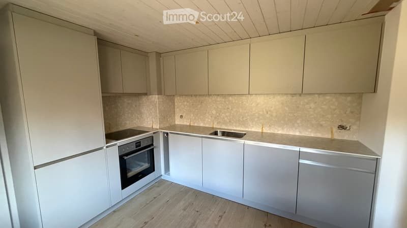 modern kitchen, white cabinets, granite countertops, stainless steel sink, built-in oven and dishwasher, wooden floor