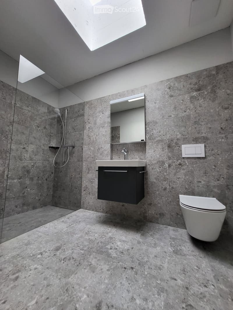 Bathroom with gray tiles, glass shower enclosure, white sink, mirror, and toilet