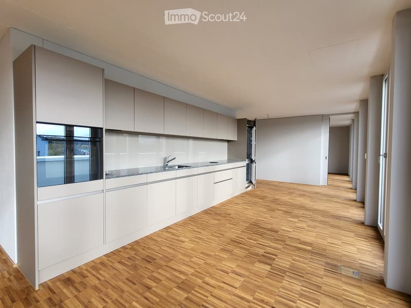 modern kitchen with white cabinets, wooden floor, sink, faucet, large windows