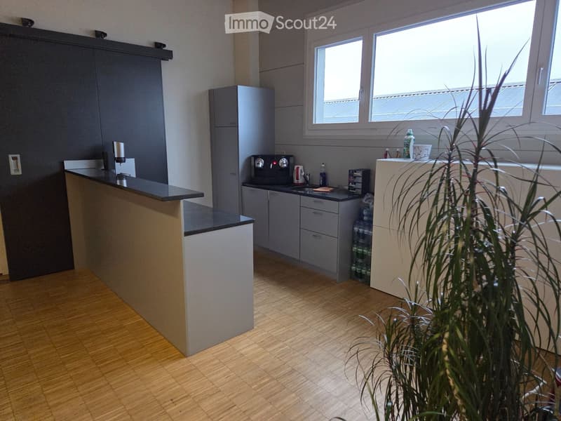 modern kitchen with wooden floor, black and white countertops, gray cabinets, coffee machine, sink, refrigerator, and a plant