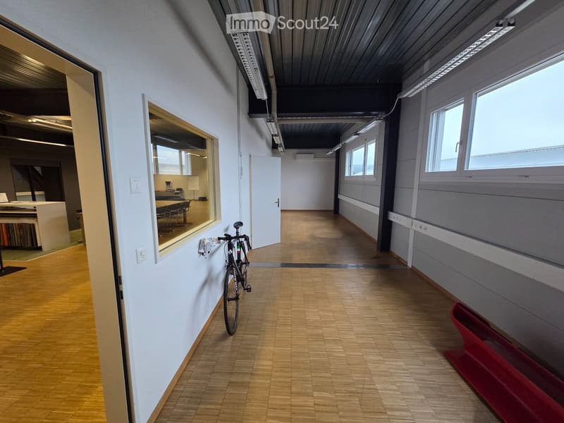 Empty room, wooden floor, white walls, bicycle leaning against wall, windows, ceiling lights