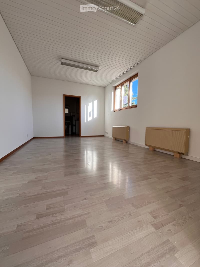 empty room, wooden floor, white walls, two windows, two radiators