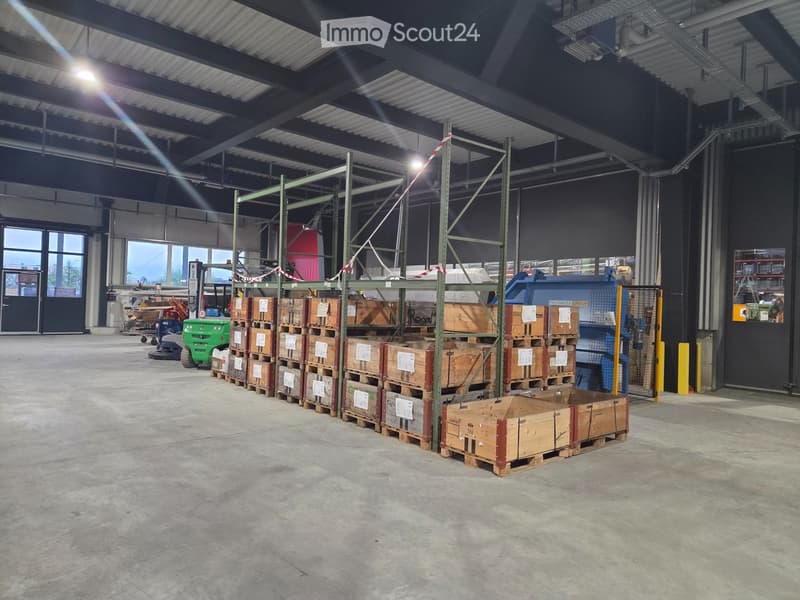 Warehouse with high ceiling, metal racks, wooden pallets, forklift, large windows, concrete floor