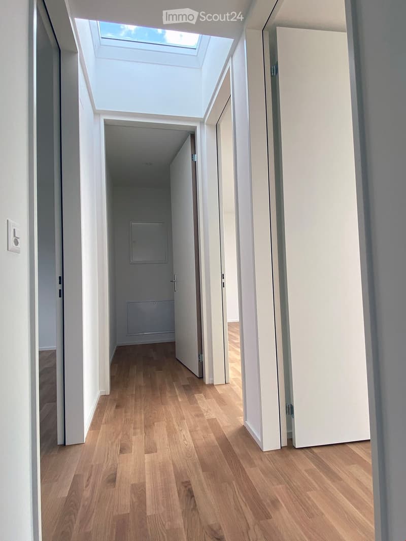 Wide hallway, wooden flooring, open doors, skylight