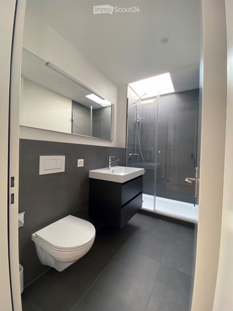 modern bathroom with gray tiles, white walls, sink, glass shower with shower head, modern toilet