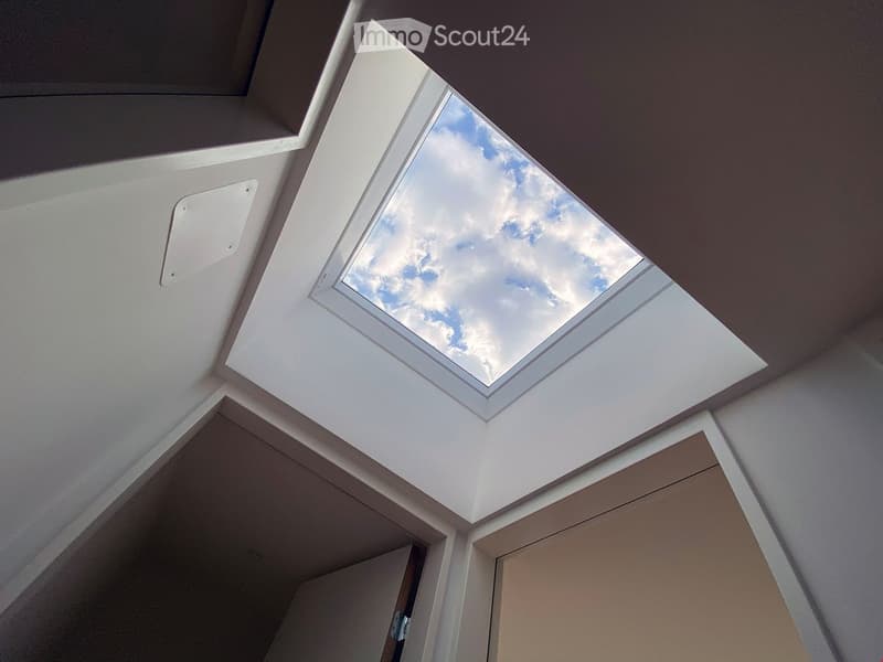 skylight, ceiling with visible rafters, clean and bright