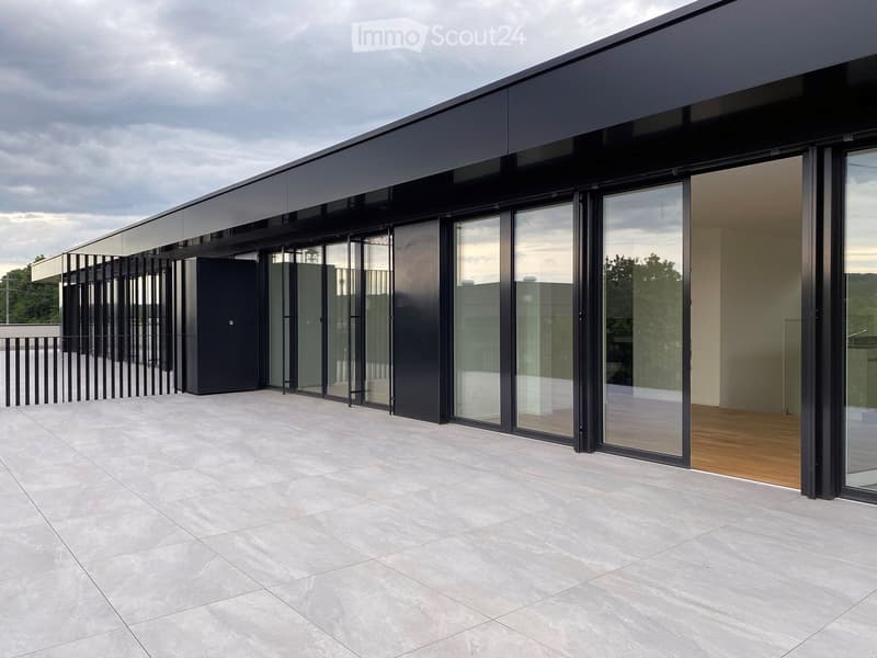 roof terrace, black metal railings, sliding glass doors, gray floor