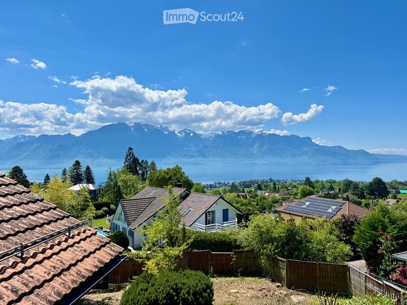 Three houses with solar panels, mountains, lake, greenery, rooftops
