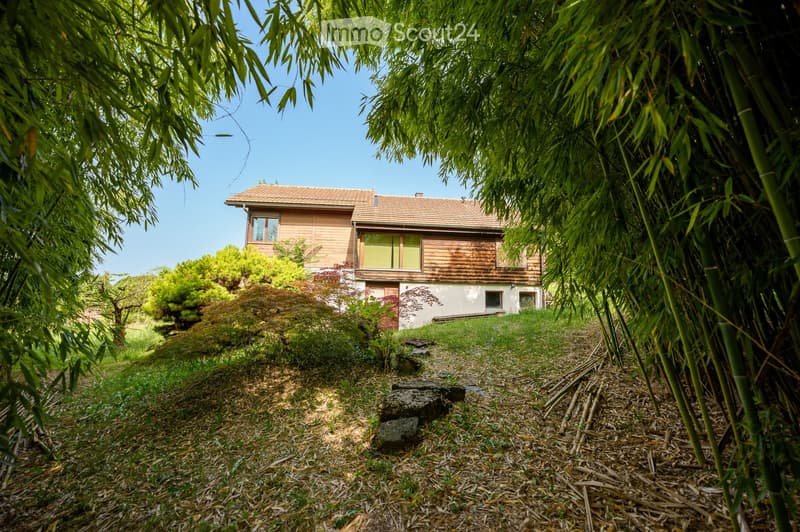 Wooden facade, red roof, white windows, surrounded by bamboo trees, located on a hill, stones path