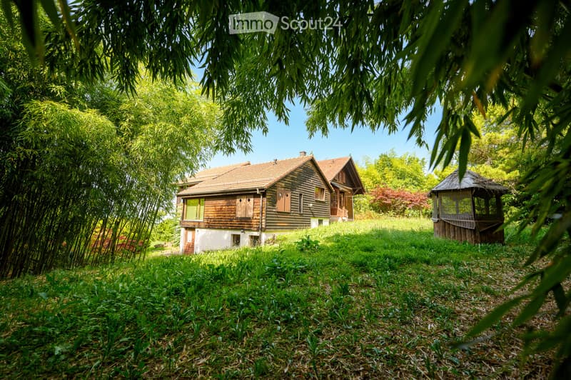detached house, brown wooden, red roof, in the middle of bamboo forest