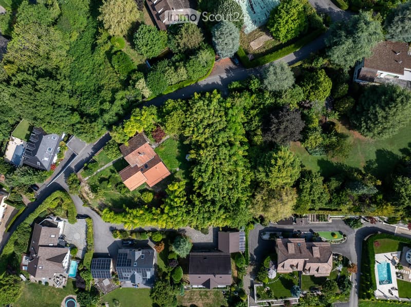 Cluster of houses in a rural setting, surrounded by trees and greenery, central house in the middle with multiple windows, visible driveways, and solar panels on some houses.