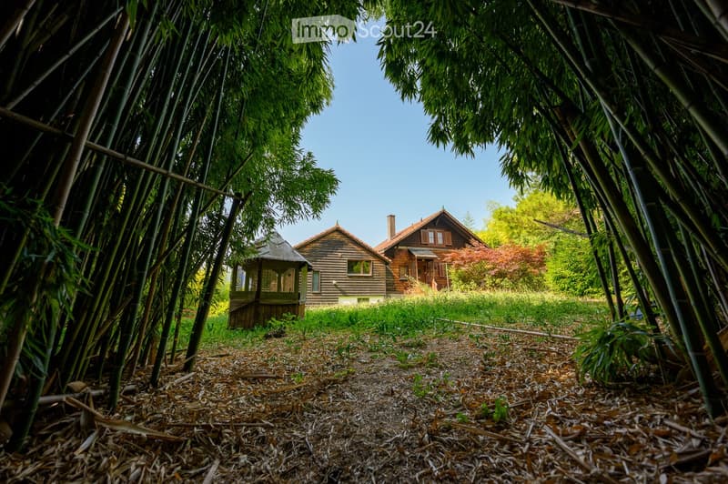 two wooden houses surrounded by bamboo, garden in front, clear sky