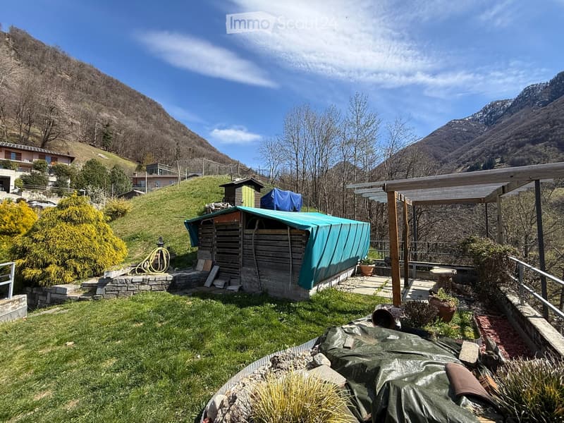 A garden with a wooden shed covered with a blue tarp, surrounded by a stone wall, and a wooden pergola. The garden is on a sloped terrain with a view of the mountains.
