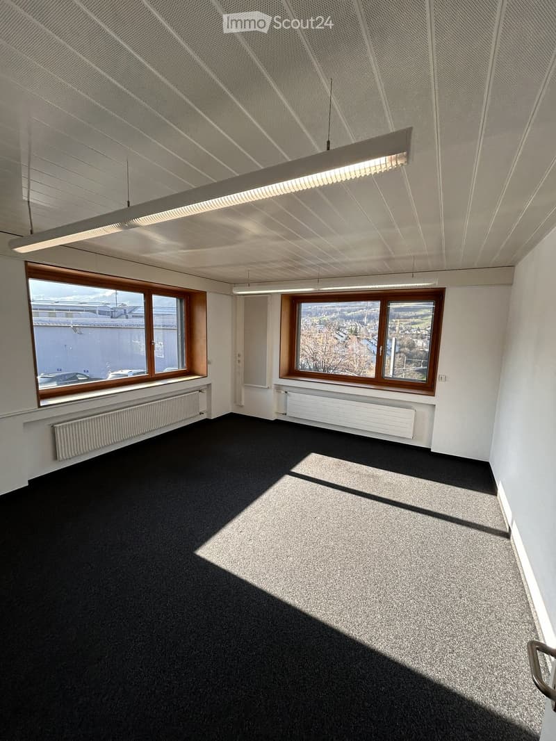 empty room, white walls, black floor, two windows, two radiators, ceiling lights
