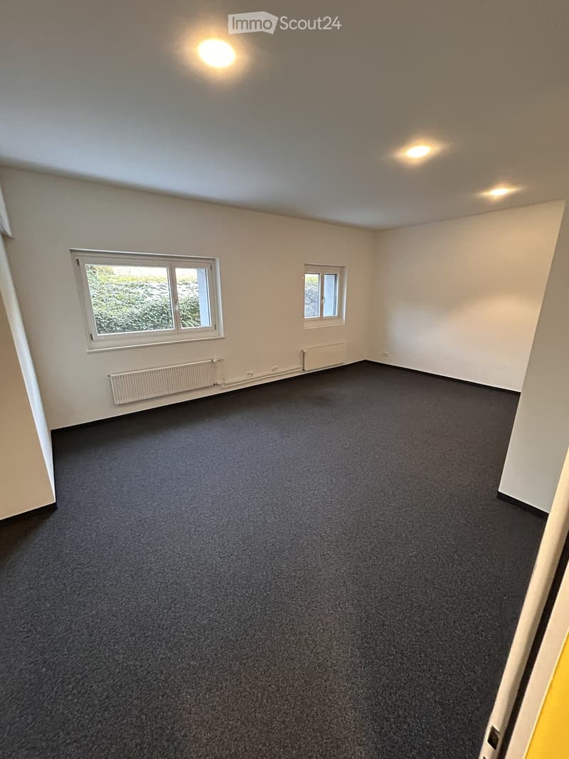 empty room, white walls, black carpet, two windows, radiators