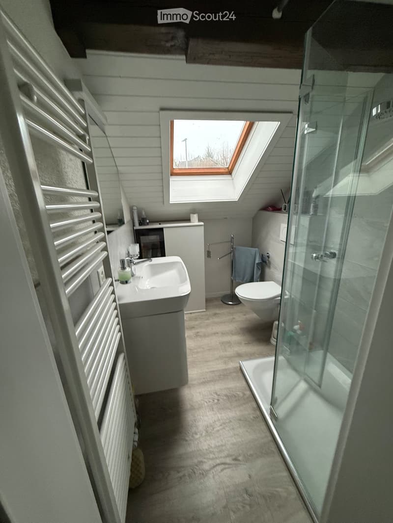 Bathroom with wooden flooring, skylight, modern fixtures, shower, sink, toilet, towel rack, and a radiator