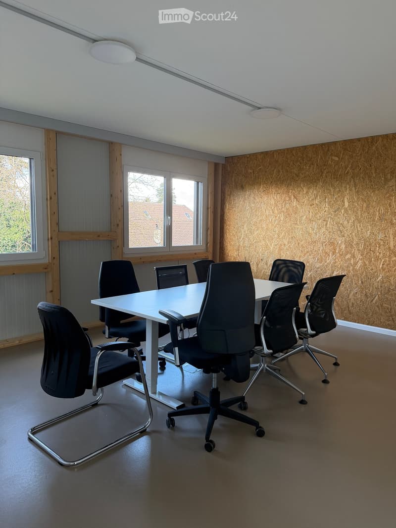 modern office room with white table, black chairs, windows, wooden wall, and ceiling lights
