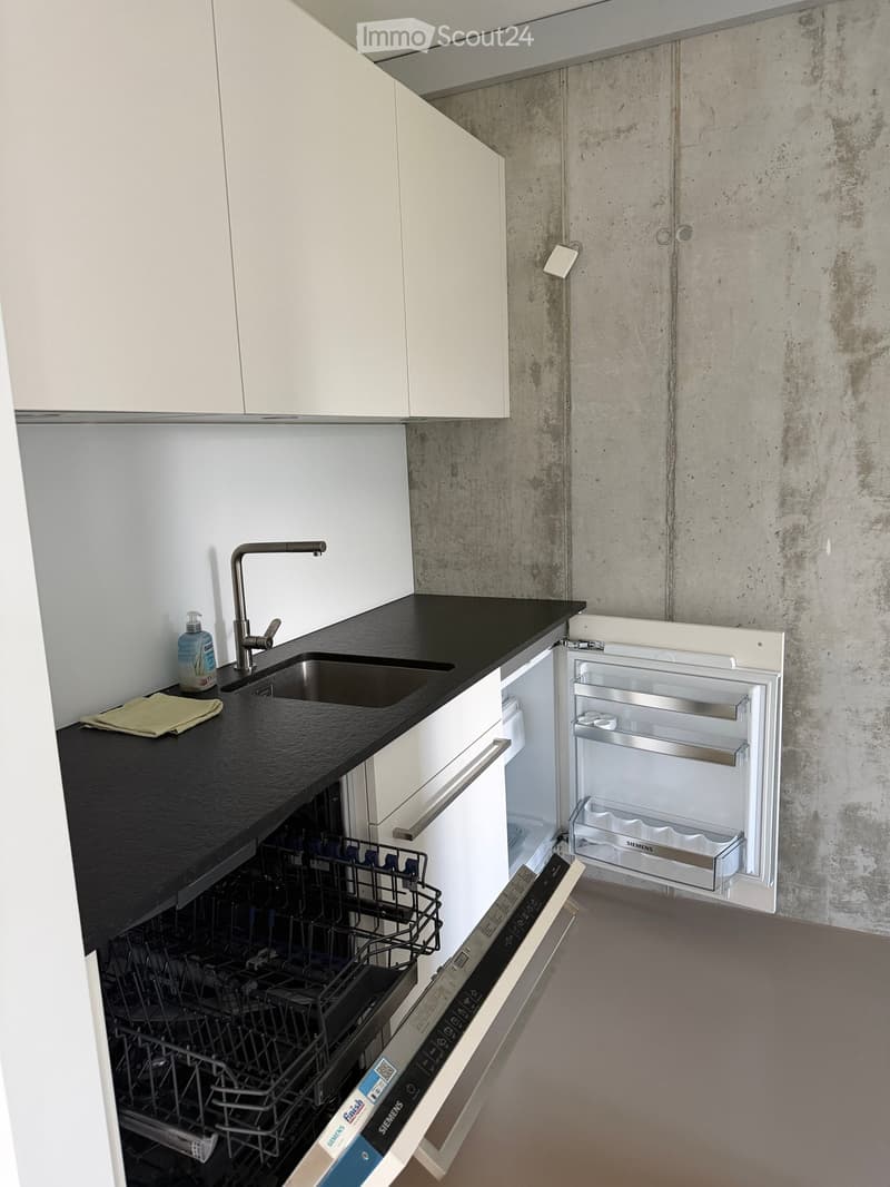 modern kitchen with white cabinets, black countertop, stainless steel sink, dishwasher, refrigerator, and a faucet