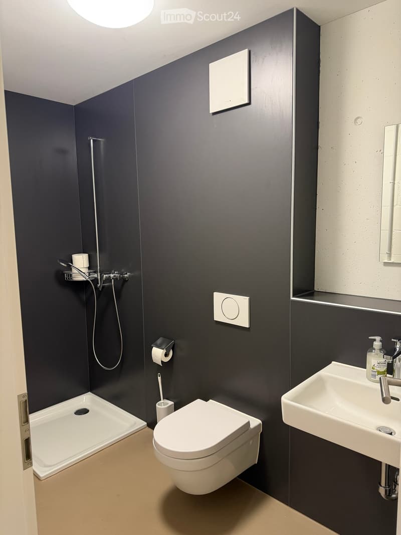 Modern bathroom with dark walls, white sink, white toilet, shower, and a mirror