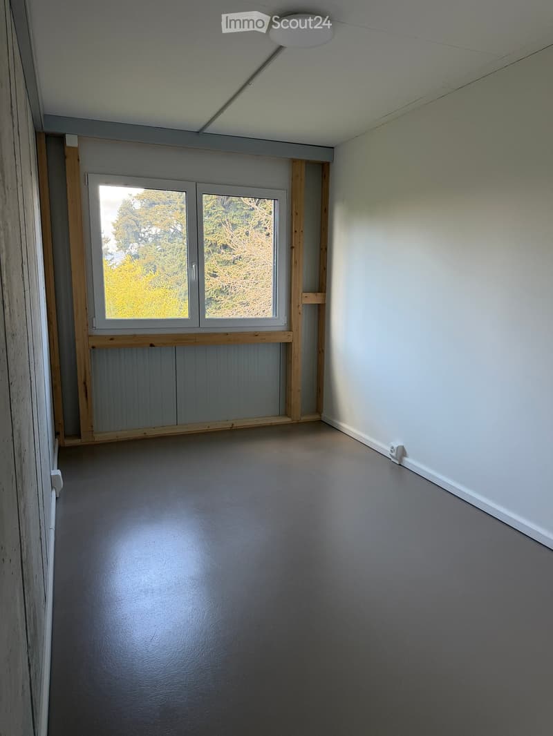 empty room, white walls, wooden window frame, gray floor, ceiling light