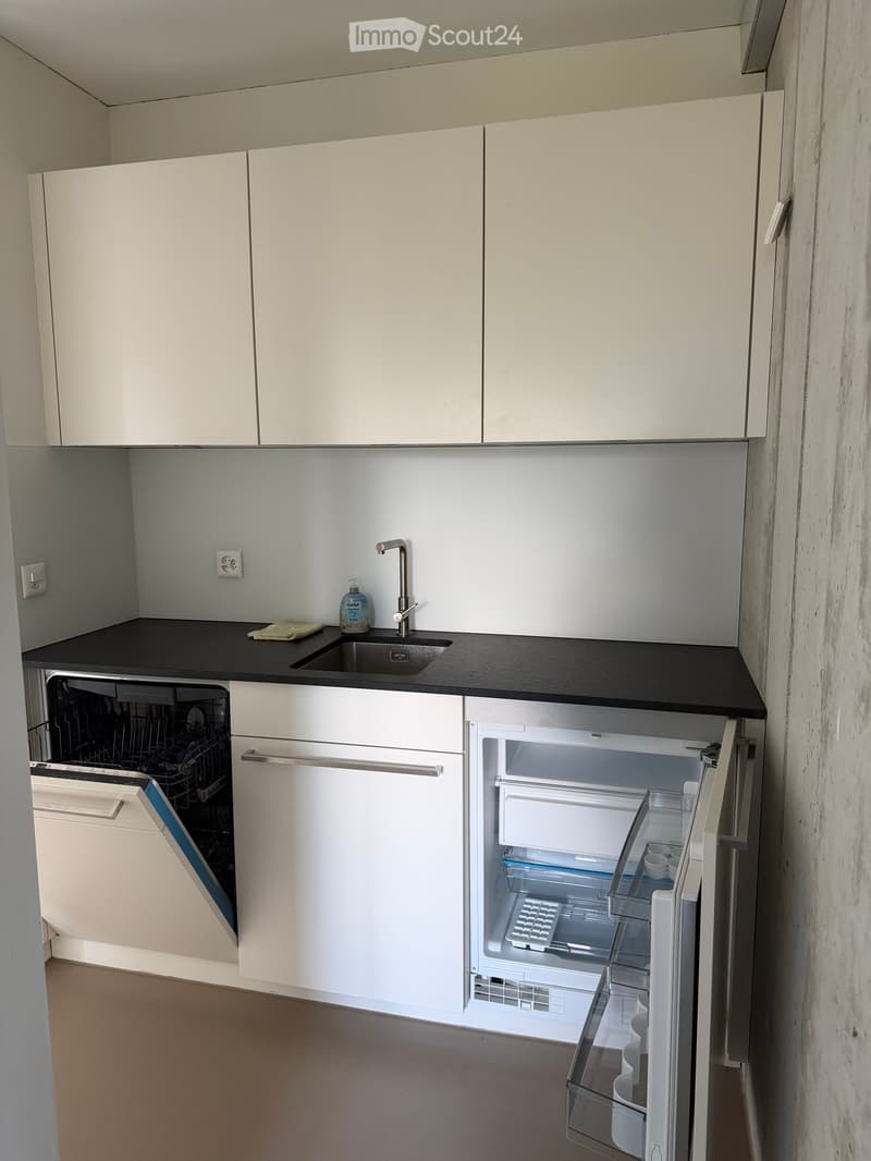 modern kitchen with white cabinets, black countertop, stainless steel sink, dishwasher, refrigerator