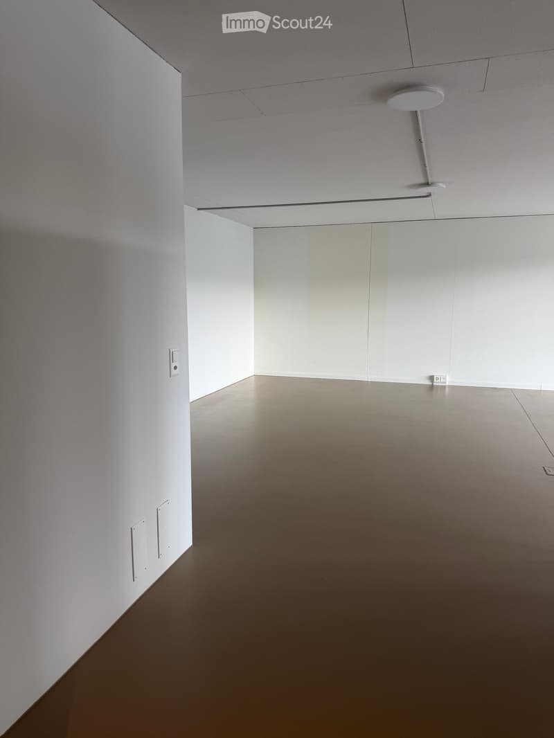 empty room, white walls, brown floor, power outlets, ceiling light