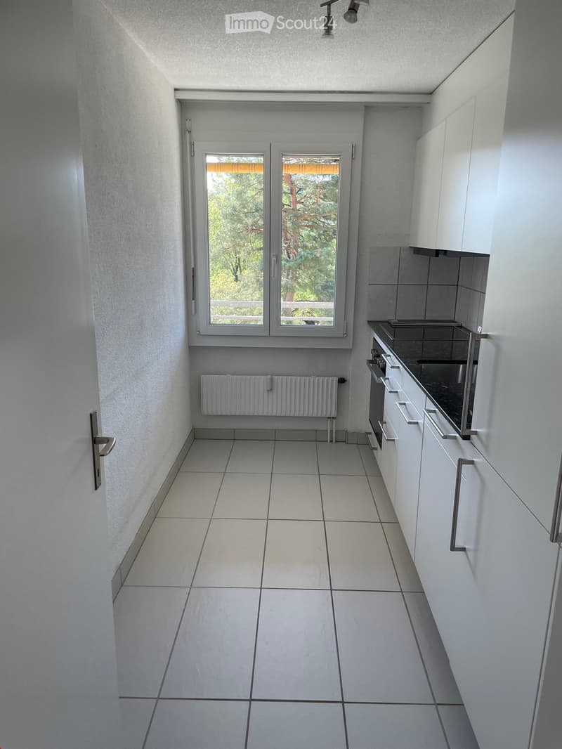 modern kitchen with white tiles, white cabinets, black countertops, white radiator, window with view