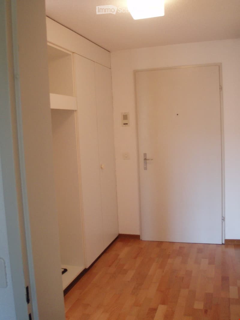 Empty room with wooden floor, white walls, white built-in wardrobes, white door, ceiling light