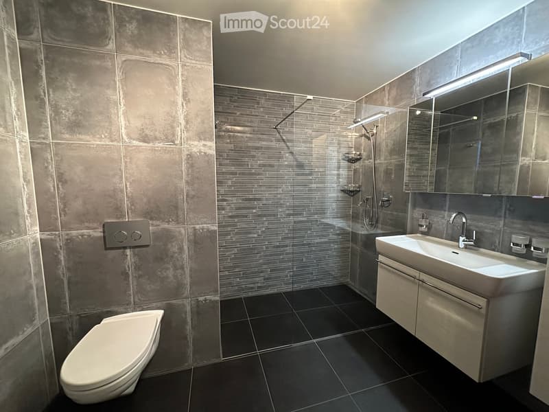 modern bathroom with gray tiles, white toilet, white sink, glass shower enclosure, shower head, mirror, and light