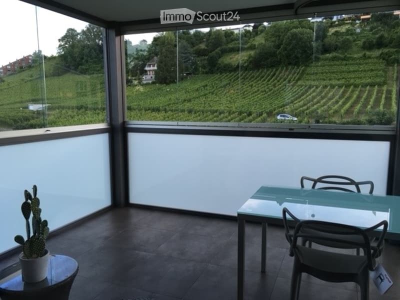 Balcony with large windows, glass table, chairs, cactus plant, tiled floor, view of vineyard