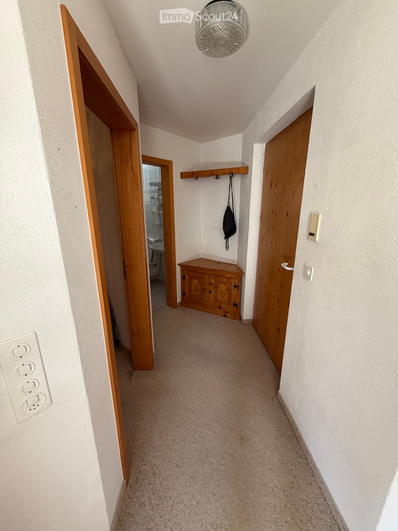 Charmant appartement meublé 2 pièces à Flims (18)