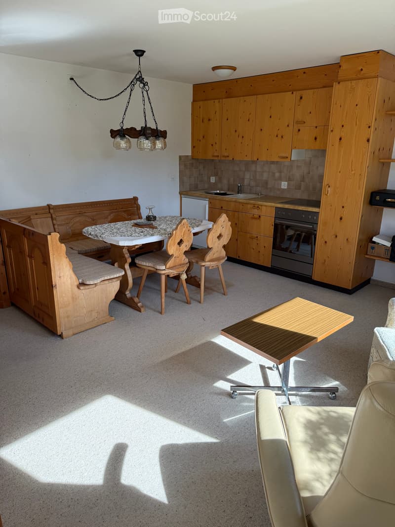 Charmant appartement meublé 2 pièces à Flims (13)