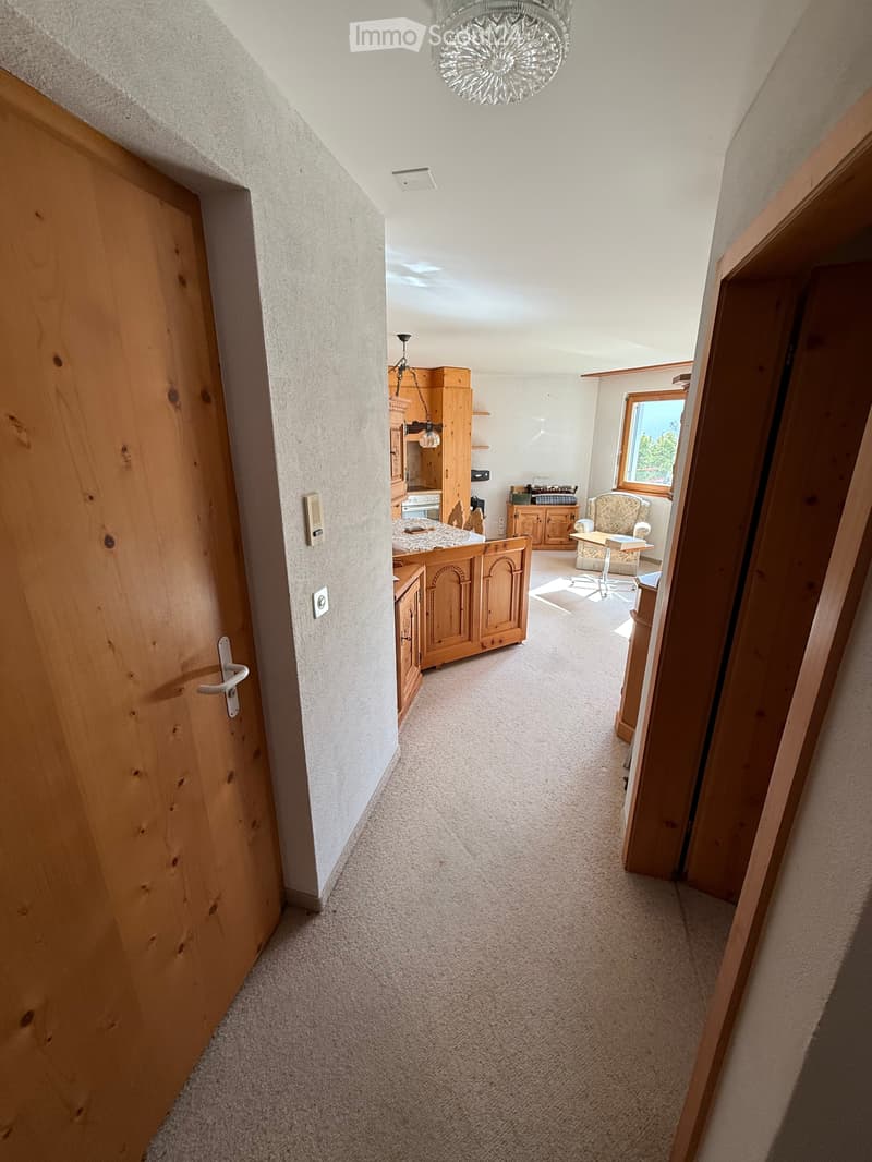 Charmant appartement meublé 2 pièces à Flims (8)