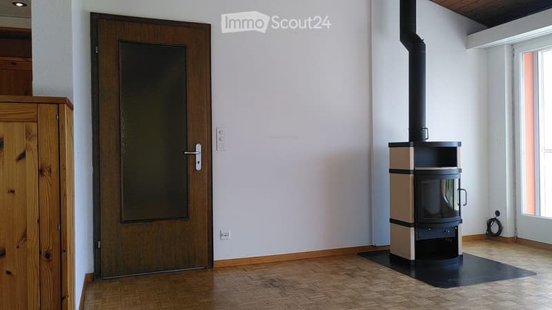 A room with a modern wood-burning fireplace, a large wooden door, and wooden flooring.
