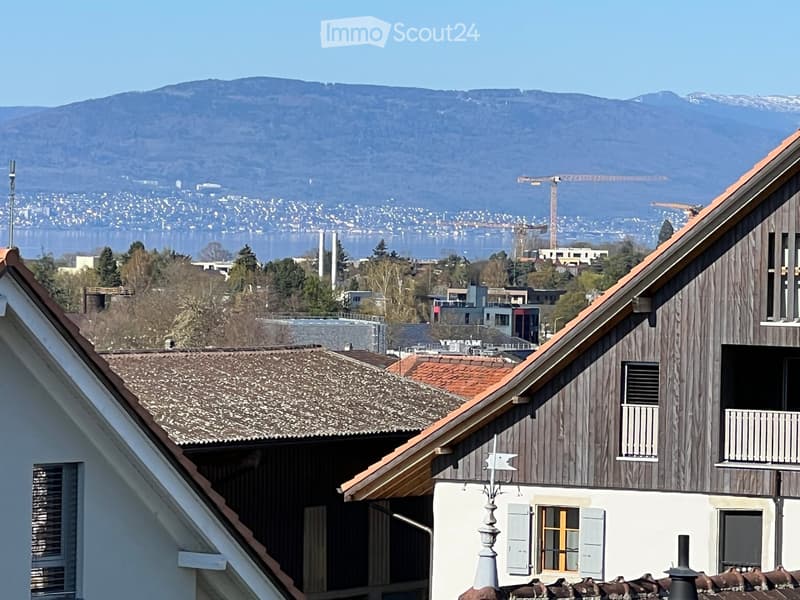 House with brown roof, white walls, balcony, chimney, mountain view, city view