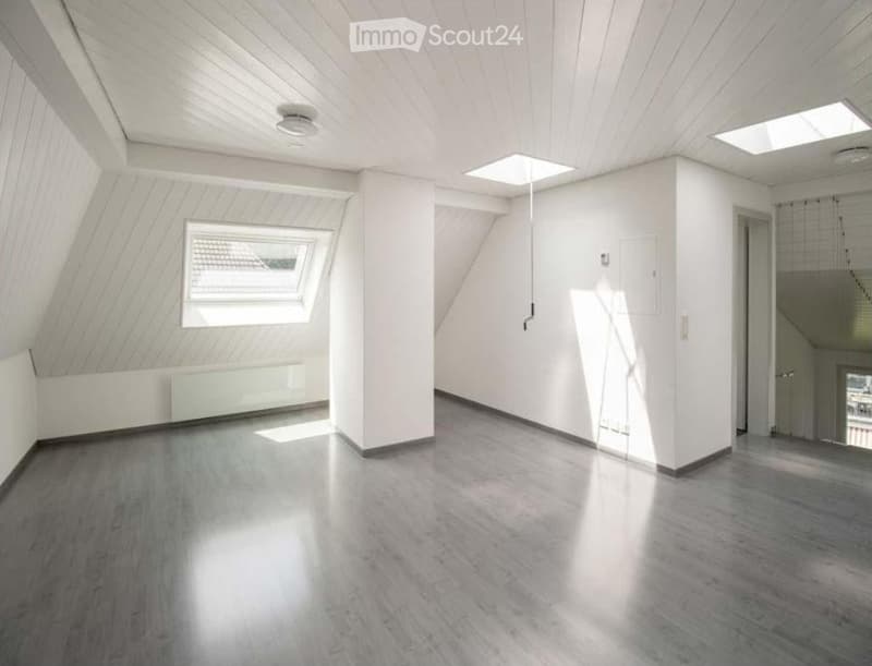 empty room, white walls, wooden floor, two windows, two skylights, ceiling lamp
