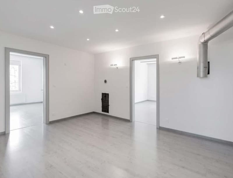 Empty room with white walls, wooden floor, two doors, and ceiling lights