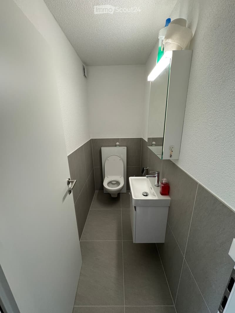 small bathroom with toilet, sink, and mirror