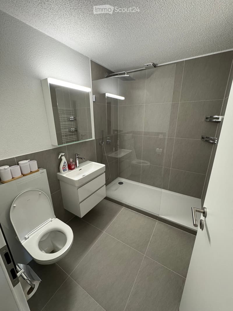 Bathroom with shower, toilet, sink, mirror, and towel rack