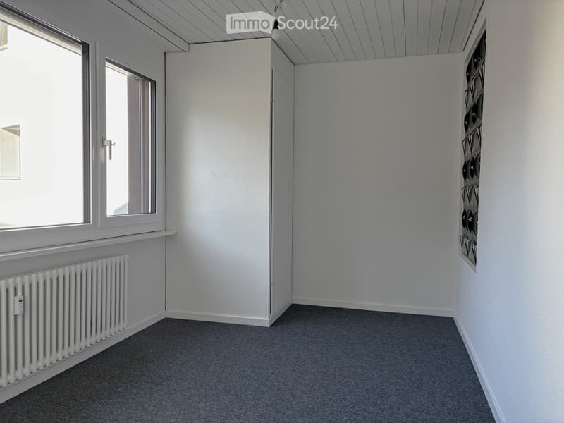 empty room, white walls, gray carpet, radiator, windows, white ceiling