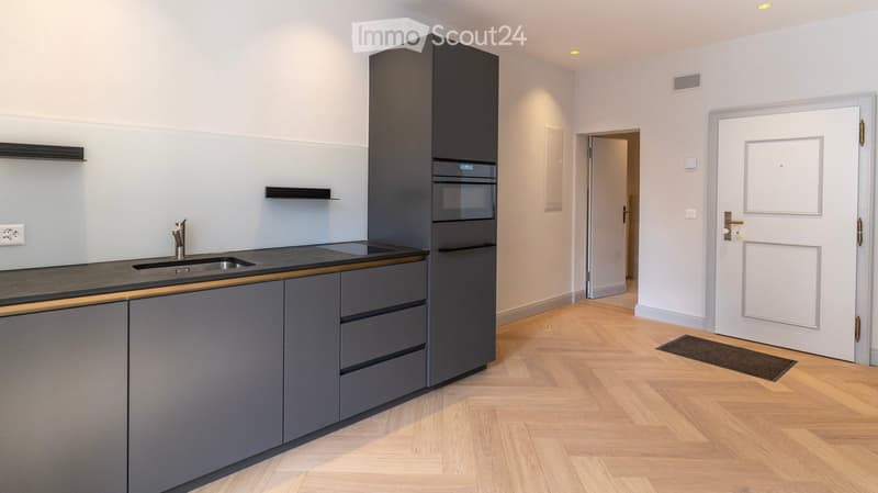 modern kitchen with wooden floor, gray cabinets, black countertops, stainless steel sink, built-in oven and dishwasher, power outlet